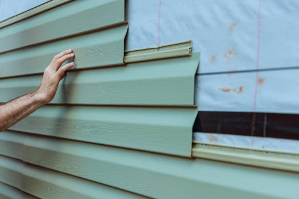 Best Custom Trim and Detailing for Siding  in Flippin, AR